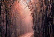 keepwork-持续工作:高效协作与项目管理新选择