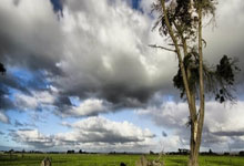 keepwork-持续工作：高效协作与项目管理新选择