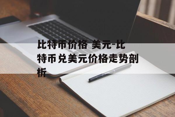 比特币价格 美元-比特币兑美元价格走势剖析