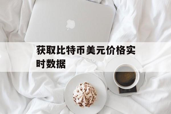 获取比特币美元价格实时数据